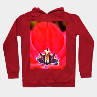 Tulip Hoodie